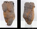 Woodfire Torso